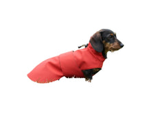 Load image into Gallery viewer, Raincoat for dogs - KvK Edition Camo