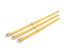 Laden Sie das Bild in den Galerie-Viewer, Mini Halsband - Puppy Collar - für kleine Vierbeiner und Welpen