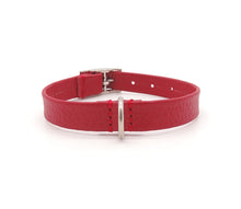 Laden Sie das Bild in den Galerie-Viewer, Mini Halsband - Puppy Collar - für kleine Vierbeiner und Welpen