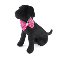 Laden Sie das Bild in den Galerie-Viewer, Halsband Schleifen mit Sternen und Fleur de Lys