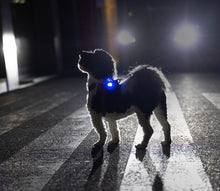 Laden Sie das Bild in den Galerie-Viewer, Brandneue Luumi Lights - LED Sicherheitslichter