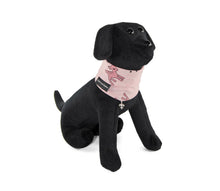 Laden Sie das Bild in den Galerie-Viewer, Cult Couture Muffler – Glam Rehkitz