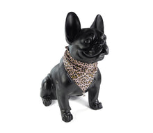 Load image into Gallery viewer, Cult Couture Scarf - Leopard, Camo, Star and other designs