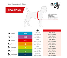 Laden Sie das Bild in den Galerie-Viewer, Welpen Harness Set mit Leine in zwei Farben