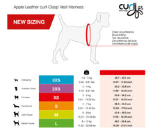Load image into Gallery viewer, Apple Leather Design Harness
