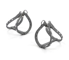 Laden Sie das Bild in den Galerie-Viewer, Leichtes Ledergeschirr - Step in Bling