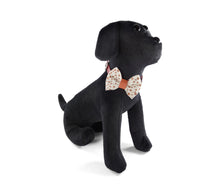 Laden Sie das Bild in den Galerie-Viewer, KvK - Halsband Schleifen - Dots Edition