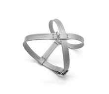 Load image into Gallery viewer, Puppy Harness Set - harness and leash in a set - for small four-legged friends and puppies