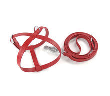 Load image into Gallery viewer, Puppy Harness Set - harness and leash in a set - for small four-legged friends and puppies