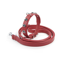 Load image into Gallery viewer, Handcrafted - Collar Classic Curved Hematite Edition