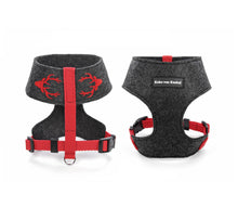 Laden Sie das Bild in den Galerie-Viewer, Handcrafted – Hundegeschirr aus Filz