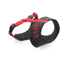 Laden Sie das Bild in den Galerie-Viewer, Handcrafted – Hundegeschirr aus Filz