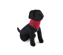 Laden Sie das Bild in den Galerie-Viewer, Cult Couture Muffler - Jersey Spezial