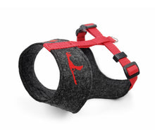 Laden Sie das Bild in den Galerie-Viewer, Handcrafted – Hundegeschirr aus Filz