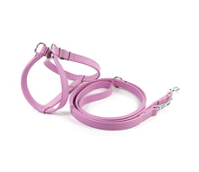 Load image into Gallery viewer, KvK Handcrafted – Step In Leather Harness