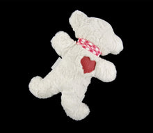 Load image into Gallery viewer, Muffy Teddy Berlin