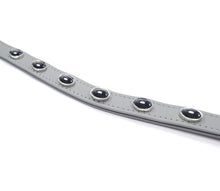 Load image into Gallery viewer, High End browband for horses