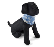 Laden Sie das Bild in den Galerie-Viewer, Cult Couture Muffler - Comic