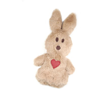 Load image into Gallery viewer, Cuddly bunny with heart