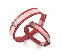 Laden Sie das Bild in den Galerie-Viewer, KvK - Klassik Halsband Curved - Limited Edition