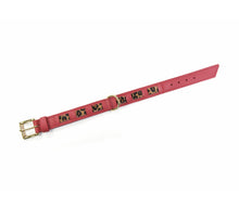 Laden Sie das Bild in den Galerie-Viewer, KvK Handcrafted - Straight Collar - Bicolour Leo