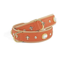 Load image into Gallery viewer, KvK Handcrafted - Classic Curved Collar - Fleurs & Bling