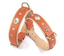 Load image into Gallery viewer, KvK Handcrafted - Classic Curved Collar - Fleurs & Bling