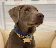 Load image into Gallery viewer, ID Tags - Stylish Dog Tags with Individual Engraving