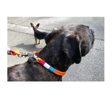 Laden Sie das Bild in den Galerie-Viewer, Trendige Yacht Sets - Orange & Blau