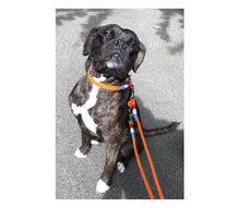 Laden Sie das Bild in den Galerie-Viewer, Trendige Yacht Sets - Orange & Blau