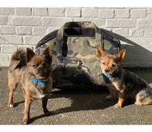 Laden Sie das Bild in den Galerie-Viewer, Nabucco Hundetasche - Flugtasche Softshell