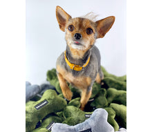 Laden Sie das Bild in den Galerie-Viewer, Plüschknochen mit Quietscher in drei Größen und drei Farben