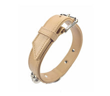 Laden Sie das Bild in den Galerie-Viewer, KvK Handcrafted - Beige Skull Masterpiece Silver