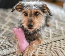 Load image into Gallery viewer, Leather bones with squeaker - dog toy