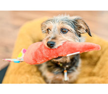 Laden Sie das Bild in den Galerie-Viewer, Plüschkarotte mit Quietscher