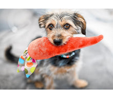 Laden Sie das Bild in den Galerie-Viewer, Plüschkarotte mit Quietscher