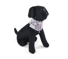 Laden Sie das Bild in den Galerie-Viewer, Cult Couture Muffler – Stars in Weiss oder Grau