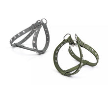 Laden Sie das Bild in den Galerie-Viewer, Leichtes Ledergeschirr - Step in Bling