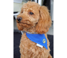 Laden Sie das Bild in den Galerie-Viewer, Cult Couture Scarf - Peace