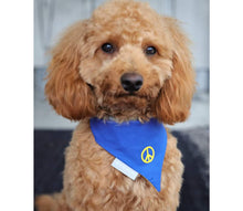 Laden Sie das Bild in den Galerie-Viewer, Cult Couture Scarf - Peace