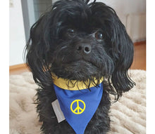 Laden Sie das Bild in den Galerie-Viewer, Cult Couture Scarf - Peace