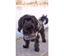 Load image into Gallery viewer, Raincoat for dogs - KvK Edition Camo