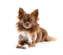 Laden Sie das Bild in den Galerie-Viewer, Vest Harness Air-Mesh in div. Farben