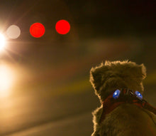 Load image into Gallery viewer, Luumi - LED safety lights