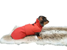 Load image into Gallery viewer, Raincoat for dogs - KvK Edition Camo
