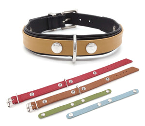 Change IT - Dog Collar in Various Designs