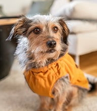 Load image into Gallery viewer, Raincoat for dogs lined with plush - KvK Edition in various colours

