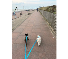 Load image into Gallery viewer, Puppy double leash - for small four-legged friends and puppies
