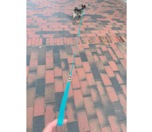 Load image into Gallery viewer, Puppy double leash - for small four-legged friends and puppies
