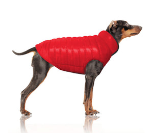Lightweight Reversible Winter Jacket for Dogs